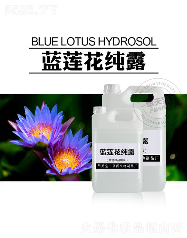 A쌚вˎƷSA쌚{ɏ¶