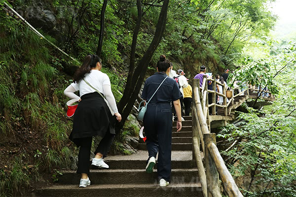 領(lǐng)略國(guó)學(xué)之美,感悟人生智慧 領(lǐng)略國(guó)學(xué)之美,感悟人生智慧